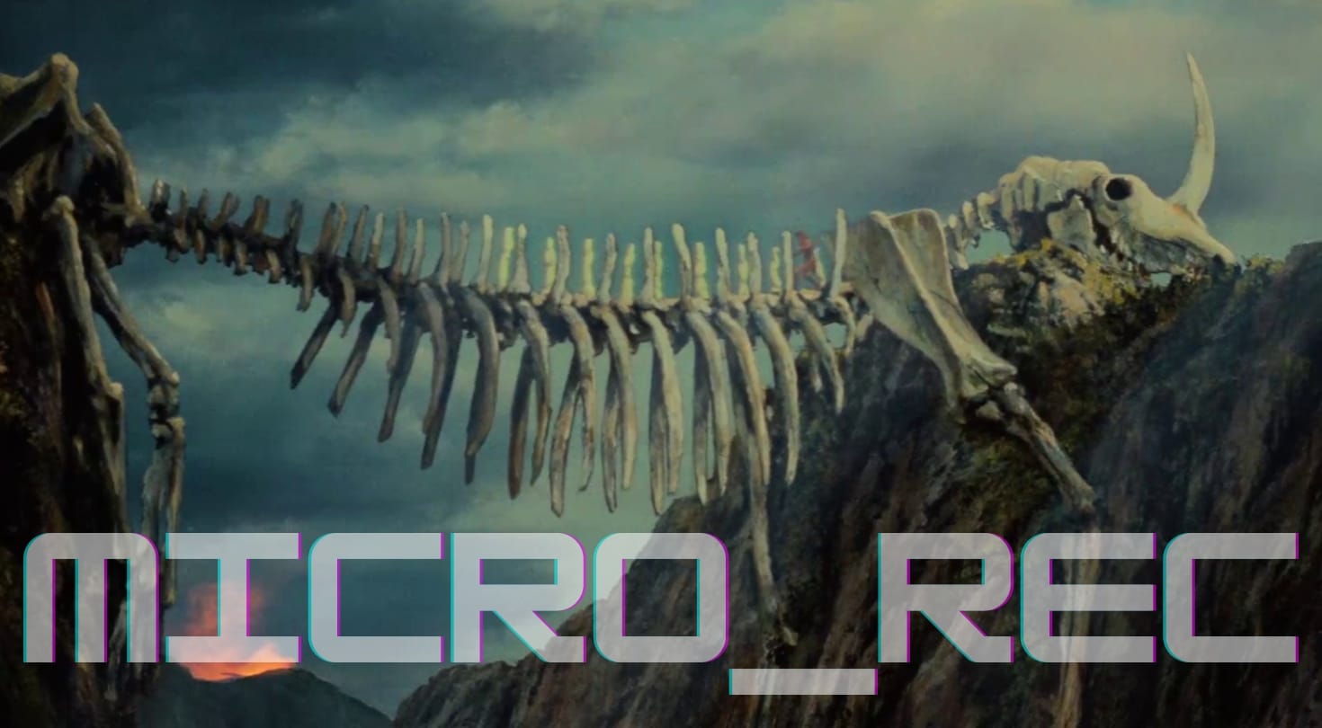 MICRO_REC WEEK 2: WHALES by Kelsey Oseid